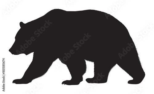 Powerful black silhouette of a large grizzly bear walking, a vector graphic illustration with a detailed furry outline shown in a full-length side profile view
