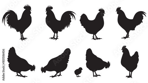 Collection of black chicken silhouettes showing roosters, hens, and a chick in various poses like standing and pecking, presented as a graphic farm animal icon set