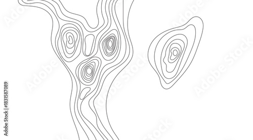 Topographic Map black white curved lines vector art contours isolated shapes, illustrating land elevation changes for cartography design or geographic mapping projects
