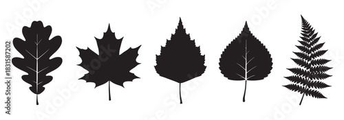 Collection of five black leaf silhouettes including oak, maple, birch, and a fern frond, presented in a clean, graphic vector illustration style for botanical or nature themes