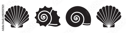Set of four black seashell icons featuring scallop and spiral conch shapes in a minimalist graphic style, presented as a collection of simple marine life symbols