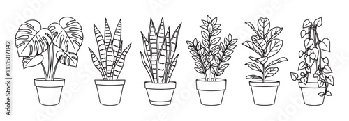 Collection of six potted houseplants drawn in a simple black and white line art style, featuring popular varieties like monstera, snake plant, and a climbing vine for botanical decoration
