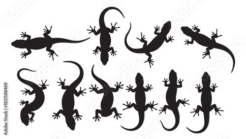 Collection of black lizard silhouettes in various poses showing different body shapes and movements, presented as a graphic design element for wildlife or nature themes