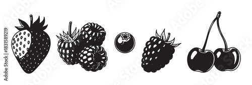 Set of black and white berry illustrations featuring strawberry, raspberry, blueberry, blackberry, and cherry in a bold, graphic, vintage woodcut art style