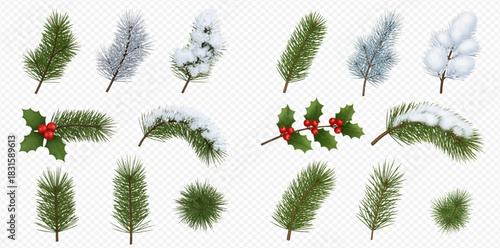 Realistic set of various Christmas and winter tree branches including pine, frosted, snow-covered, and holly with red berries, isolated on transparent background.