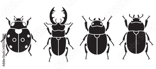 Collection of four beetle insect silhouettes including a ladybug and stag beetle, presented as a graphic vector illustration set for entomology or design concepts