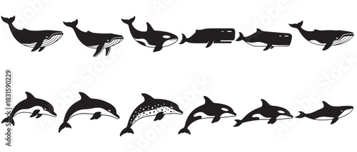 Collection of black and white whale and dolphin illustrations in a simple graphic style, showcasing various cetacean species like orcas and sperm whales in a clean icon set design