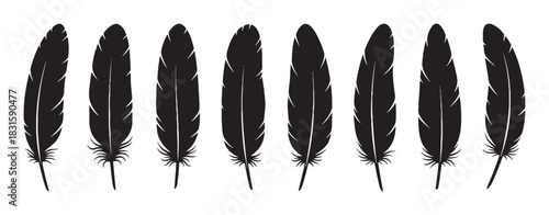 Eight black bird feather vector illustrations in a neat horizontal line, featuring a clean and modern silhouette design with delicate quill and barb details