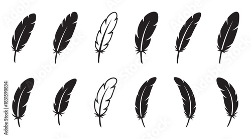 Black bird feather icons in a collection of twelve different minimalist silhouettes and simple line art styles arranged in two neat rows for graphic design