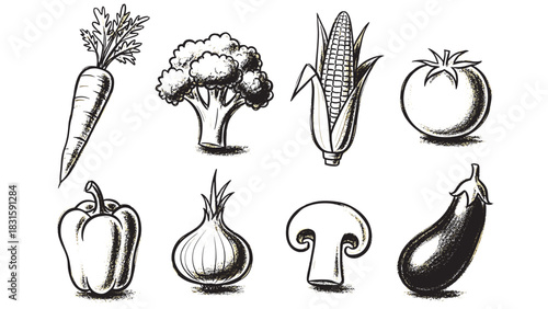 Collection of hand-drawn fresh vegetables including a carrot, broccoli, corn, tomato, pepper, onion, mushroom, and eggplant in a rustic black and white sketch illustration style