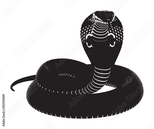 Black and white king cobra illustration coiled in a defensive posture with its hood flared, showing a powerful and dangerous reptile in a graphic stencil style