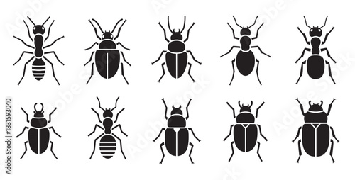 Collection of black insect icons showing various ants and beetles in a minimalist flat style, presented as a set of simple silhouettes from a top-down dorsal view