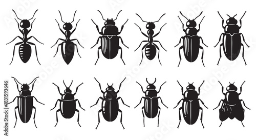 Various black insect vector icons and bug silhouettes featuring different types of ants and beetles in a stylized graphic design for entomology or pest control concepts