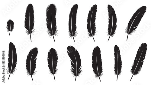 Collection of black feather silhouettes in various shapes and sizes, presented as a set of elegant and simple graphic icons for design and decoration purposes