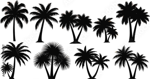 Palm tree black silhouettes border, frame. Monochrome hand drawn vector illustration isolated on transparent background.