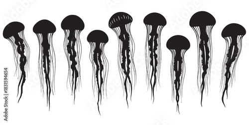 Set of nine black jellyfish silhouettes with long flowing tentacles, depicted in a minimalist graphic style as a collection of elegant marine life illustrations for design