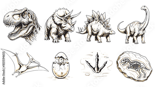 Set of hand-drawn dinosaur illustrations featuring a T-Rex, Triceratops, Stegosaurus, Brachiosaurus, Pterodactyl, fossil, hatching egg, and footprint in a vintage sketch style