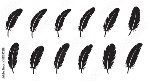 Collection of twelve black feather silhouettes arranged in two rows, showcasing various simple shapes and curves in a minimalist graphic icon style for design elements
