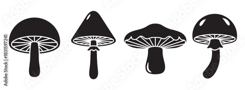 Four black and white mushroom illustrations with different cap shapes and stems, presented as a simple graphic set of fungi icons in a minimalist, hand-drawn vector style