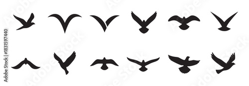 Collection of black bird silhouettes flying in various positions, showing different wing movements and flight patterns in a minimalist graphic style perfect for icons or logos
