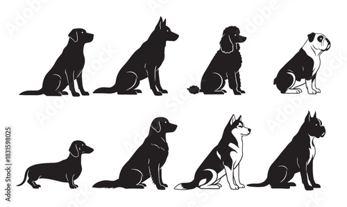 Collection of various dog breeds illustrated in a black and white silhouette style, featuring different purebred pets sitting in profile for a clean and graphic vector design set
