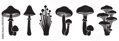 Black mushroom silhouette collection showing various fungi species in a simple graphic illustration style with clean lines and minimalist artistic details