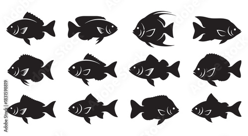 Twelve black fish icon silhouettes arranged in a collection, showcasing a diverse variety of aquatic animal species in a simple, minimalist and graphic vector style