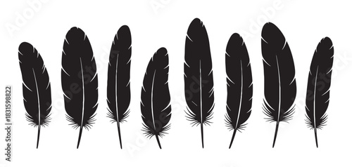Set of eight black bird feathers arranged in a horizontal row, showcasing different shapes and sizes in a minimalist graphic silhouette style for a clean and elegant design