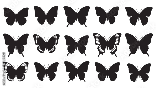 Fototapeta Collection of black butterfly silhouettes with various wing shapes and patterns arranged in a grid, showcasing a diverse set of insect forms in a minimalist graphic style