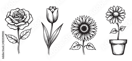 Set of four hand-drawn flower illustrations featuring a rose, tulip, sunflower, and a potted daisy, all rendered in a clean black and white line art sketch or engraving style