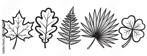 Collection of five different leaves including maple, oak, fern, palm, and clover drawn in a simple black and white outline style for botanical and nature concepts
