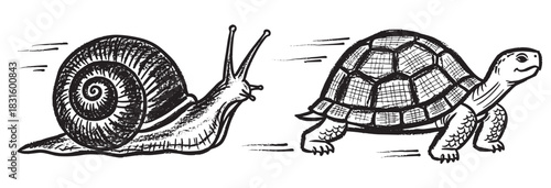 Fast snail and a running tortoise depicted in a hand-drawn black and white sketchy illustration style, competing in a humorous race with motion lines indicating high speed
