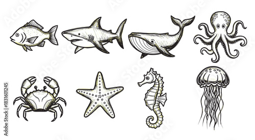 Hand-drawn set of sea animal icons including a fish, shark, whale, octopus, crab, starfish, seahorse, and jellyfish in a black ink sketch style with subtle color accents