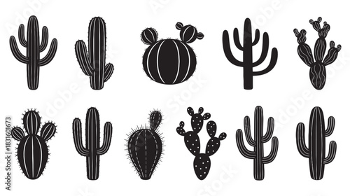 Collection of black cactus silhouettes in various shapes and sizes, including saguaro and prickly pear, presented in a simple flat graphic vector illustration style