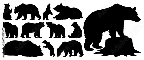Bear Silhouette Vector Collection in Various Poses for Wildlife and Nature Design, Transparent Background