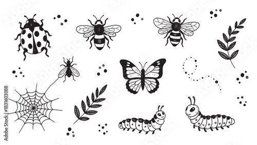 Hand-drawn collection of cute garden insects including a ladybug, bee, butterfly, caterpillar, and spiderweb in a simple monochrome sketch style with whimsical details