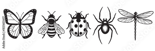 Set of black and white insect illustrations featuring a butterfly, bee, ladybug, spider, and dragonfly in a simple, graphic, hand-drawn style for nature and entomology themes