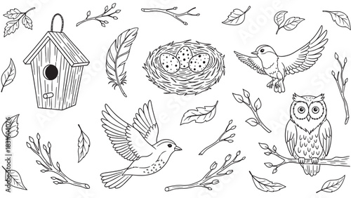 Hand-drawn collection of bird and nature elements including a birdhouse, nest with eggs, owl, and flying birds in a simple black and white outline doodle style illustration set