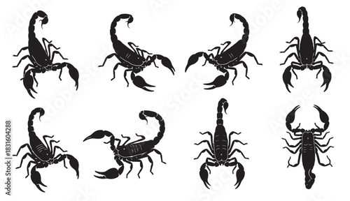 Collection of black scorpion silhouettes in various poses, showcasing the dangerous arachnid's form for tattoo designs, emblems, and graphic illustrations in a minimalist vector style