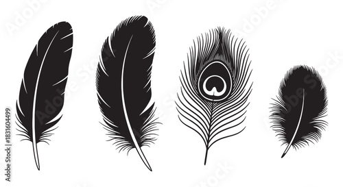 Black silhouette bird feathers in a set of four different styles, including a detailed peacock plume, are presented as elegant monochrome vector graphic elements
