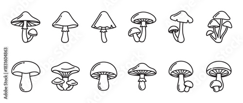 Set of twelve mushroom line art icons in a simple doodle style, showcasing various fungi shapes and forms for botanical or nature-themed design elements