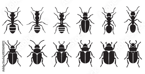 Collection of black insect icons featuring various ant and beetle silhouettes in a minimalist graphic style, shown from a top-down perspective as a set of entomology symbols