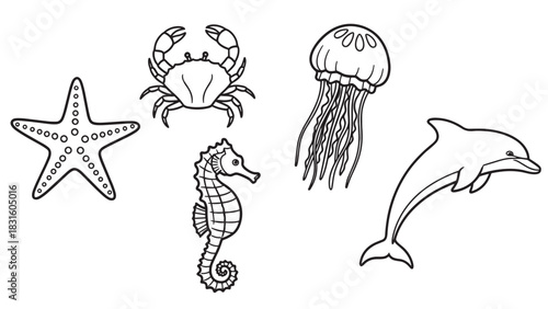 Set of black and white sea animal line drawings featuring a starfish, crab, seahorse, jellyfish, and dolphin in a simple, minimalist doodle style for a coloring book