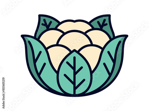 A stylized illustration of a cauliflower vegetable with green leaves surrounding it.