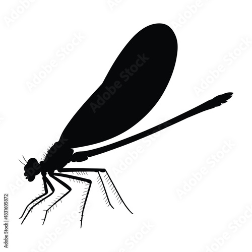 Damselfly perched on leaf Vector, Silhouette, Illustration