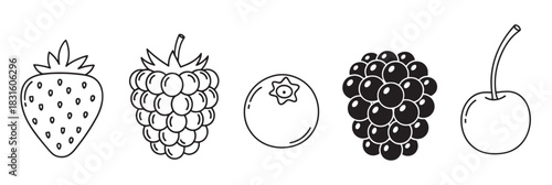 Set of five berry and fruit icons including a strawberry, raspberry, blueberry, blackberry, and cherry, drawn in a simple black and white line art and silhouette style