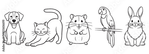 Collection of cute cartoon pet animals in a simple black outline style, featuring a dog, stretching cat, hamster, parrot on a perch, and a fluffy rabbit