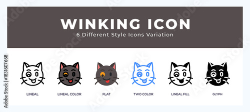 Winking cat icon set with different styles. Vector illustration.
