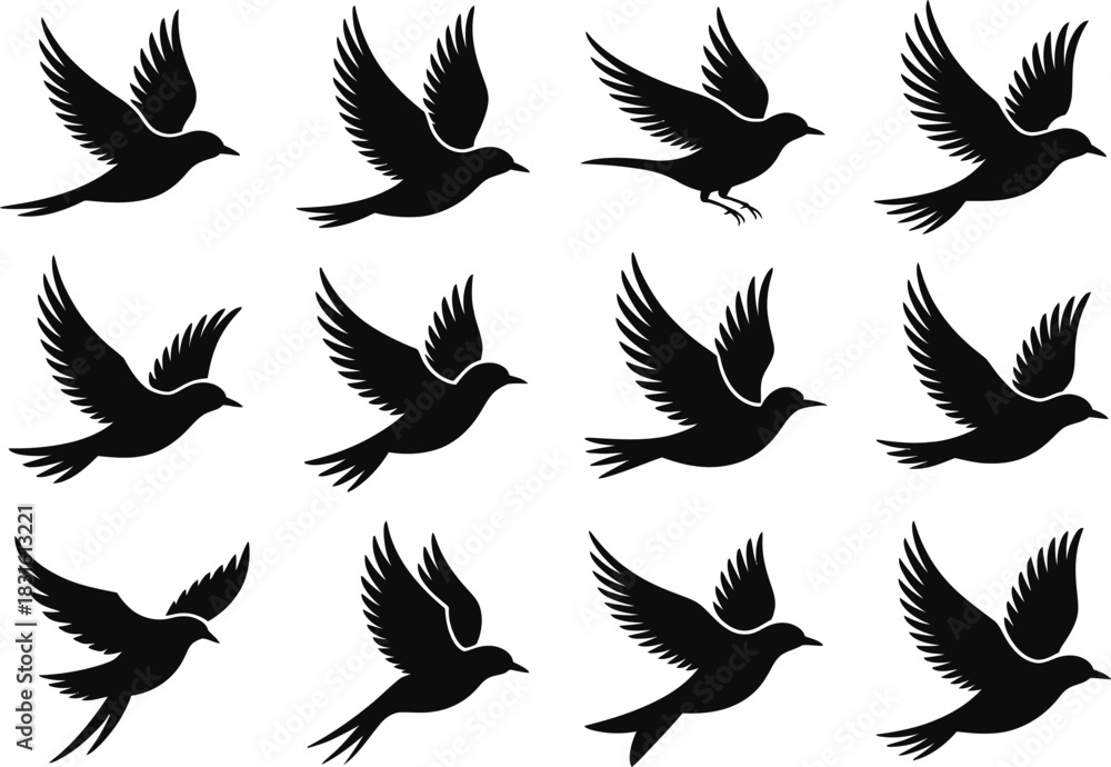 Obraz premium Bird flight silhouette collection