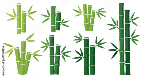 Green bamboo stalks with transparent background
